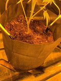 GroEzy 1.5 Gallon Expandable Coco Pot