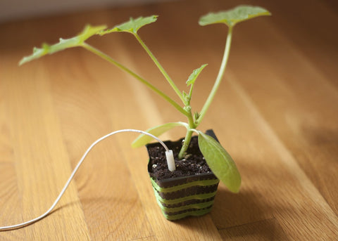 Earth and Grow Pro Gro Kit (24 Plants)