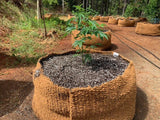 CoirNet 45 Gallon coir pot