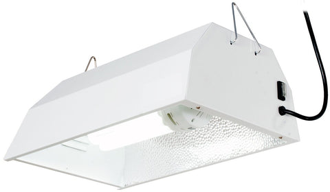 Compact Fluorescent Fixture with Lamp, 125W, Daylight