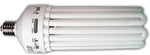 Compact Fluorescent Fixture with Lamp, 200W, Daylight