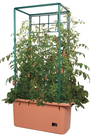 Tomato Trellis Garden on Wheels