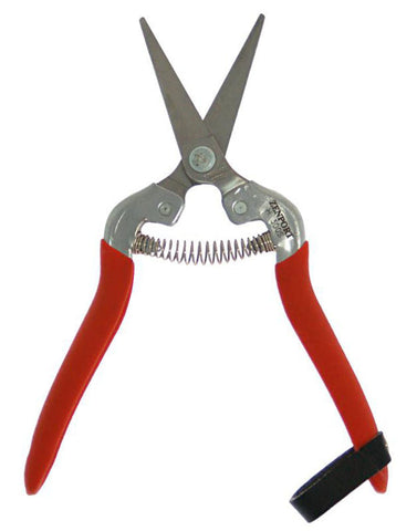 Stainless Thinning/Harvest Shear w/Long, Straight Blade