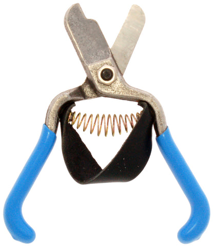 5.5” Forged Lemon Shear w/PVC grips