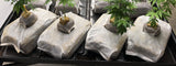 GroEzy - 12" Mini Slab Coco Grow block