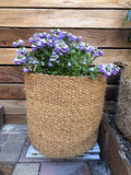 CoirNet 45 Gallon coir pot