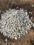 Pure Hydro - Premium Clay Pebbles (50L)