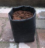 GroEzy - 1 Gallon Expandable Pot