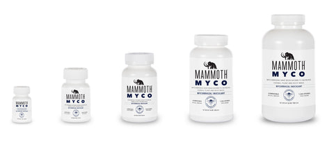 Mammoth Myco 4 OZ - Case of 12