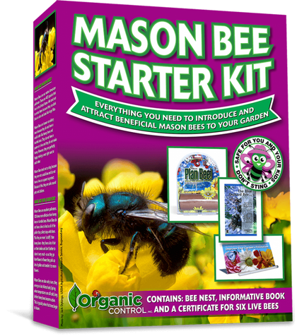 Orcon MASON BEES (6 Cocoons per Tube) [sold in 10 per case]