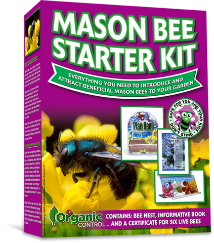 Orcon MASON BEE STARTER KIT (Bee Nest/Book/Certificate for 6 Live Bees)