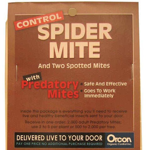 Orcon PREDATORY MITES Pre-Paid Certificate (2,000 Live Adults)