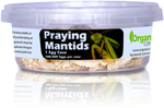 Orcon PRAYING MANTIDS Pre-Paid Certificate (2 Egg Masses) - Case of 5
