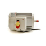 Twister T2 Leaf Collector Motor (2hp)