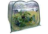 Pop-Up Greenhouse WS3241