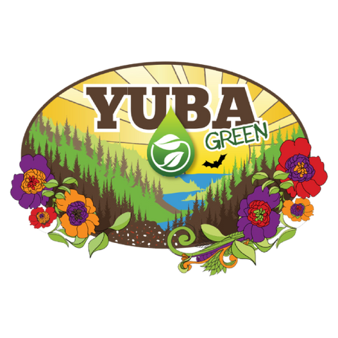 Four Seasons Yuba Green Bulk - 1 YD LOOSE