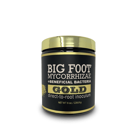 BIG FOOT GOLD (8 oz) case of 12