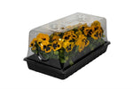 SunKit Mini Greenhouse - Case of 6