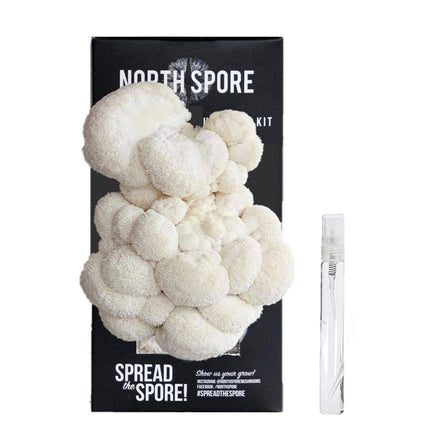 North Spore Turnip Vegan Organic Lion's Mane Mushroom Growing Kit - Case of 12