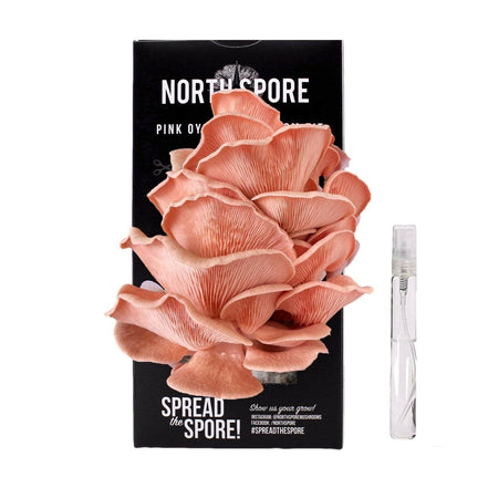 North Spore Organic Pink Oyster ‘Spray & Grow’ Mushroom Growing Kit