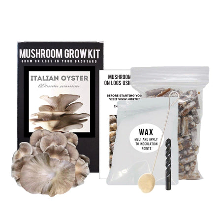North Spore Organic Italian Oyster Mushroom Outdoor Log Growing Kit - Case of 6