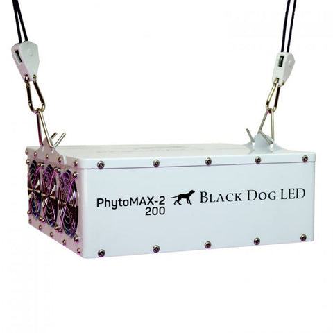 Black Dog LED PM2-200