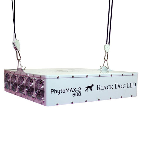 Black Dog LED PM2-600