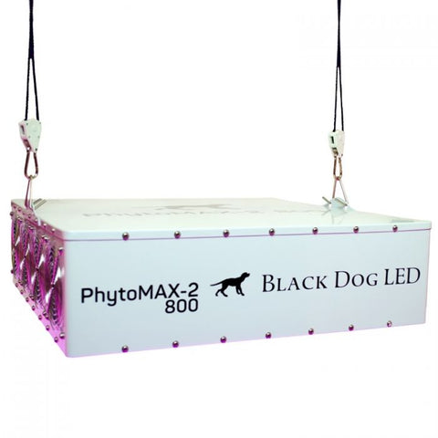 Black Dog LED PM2-800