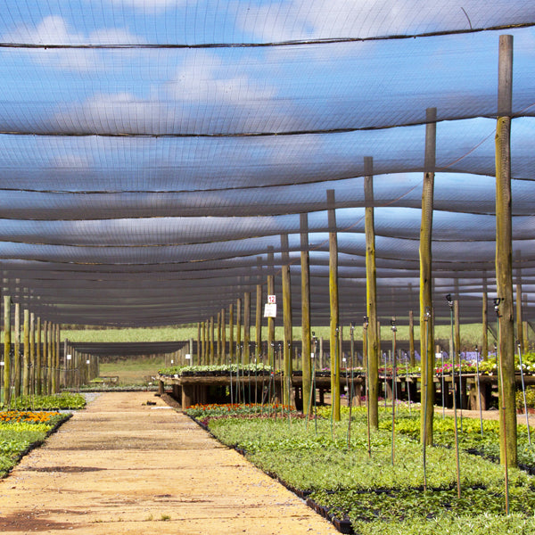 Sungrower Shade Cloth