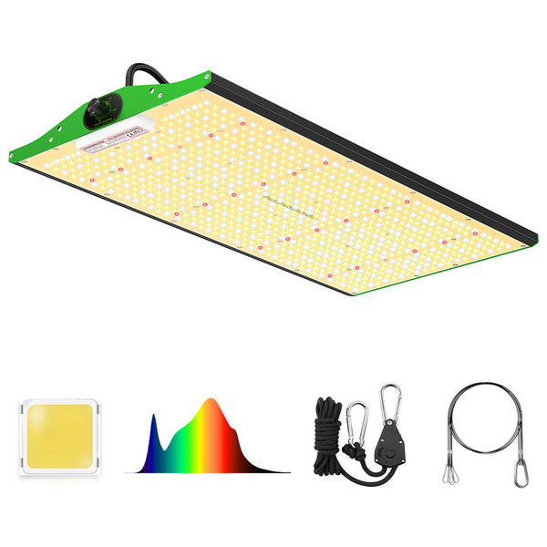 viparspectra-P2500-