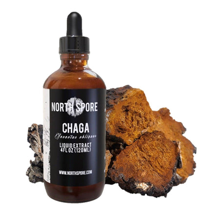 North Spore Chaga Mushroom Tincture - 4 oz - Case of 8