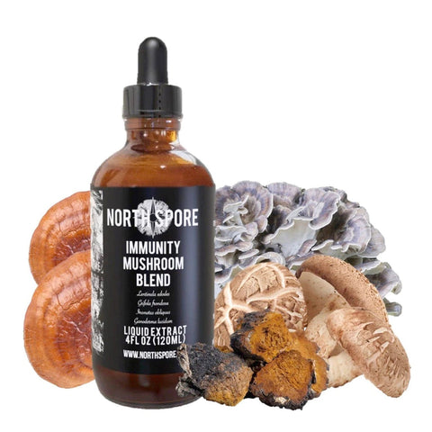 North Spore Immunity Mushroom Blend Tincture - 4 oz